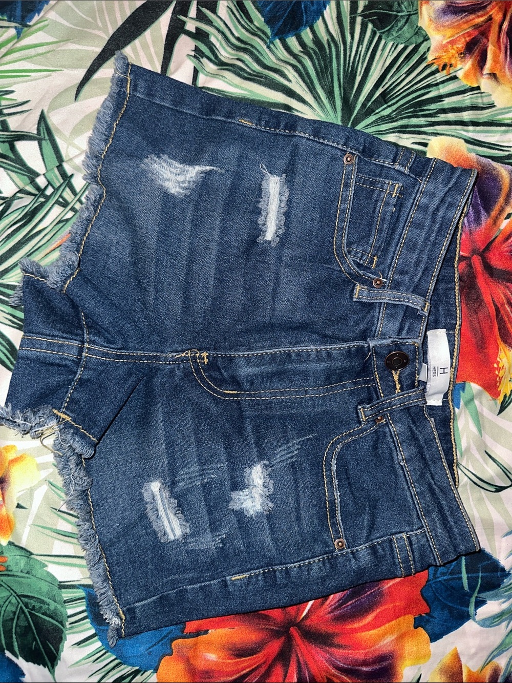 Denim Distressed Frayed Hem Women’s Shorts - Blue